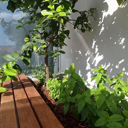 House Filipovic Apartment Makarska
